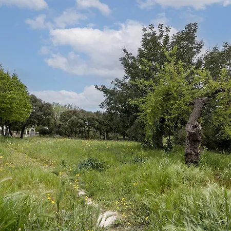 Trulli Nenetta E Nannino *